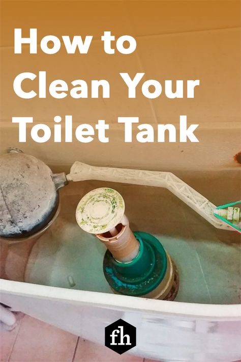 Clean Toilet Tank, Cleaning Toilet Tank, Toilet Cleaning Tips, Toilet Tank Cleaner, Natural Toilet Cleaner, Cleaning Toilets, Leaking Toilet, Clean Toilet, Mildew Remover