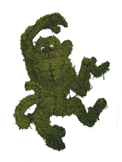 Funky Monkey 33" Mossed www.braungroup.com #topiary #containergardening #flowers #sculptures Topiary Sculpture, Moss Topiary, Urban Gardening Ideas, Dog Jackets Winter, Funky Monkey, Rabbit Garden, Puppy Snuggles, Dog Stairs, Topiary Garden