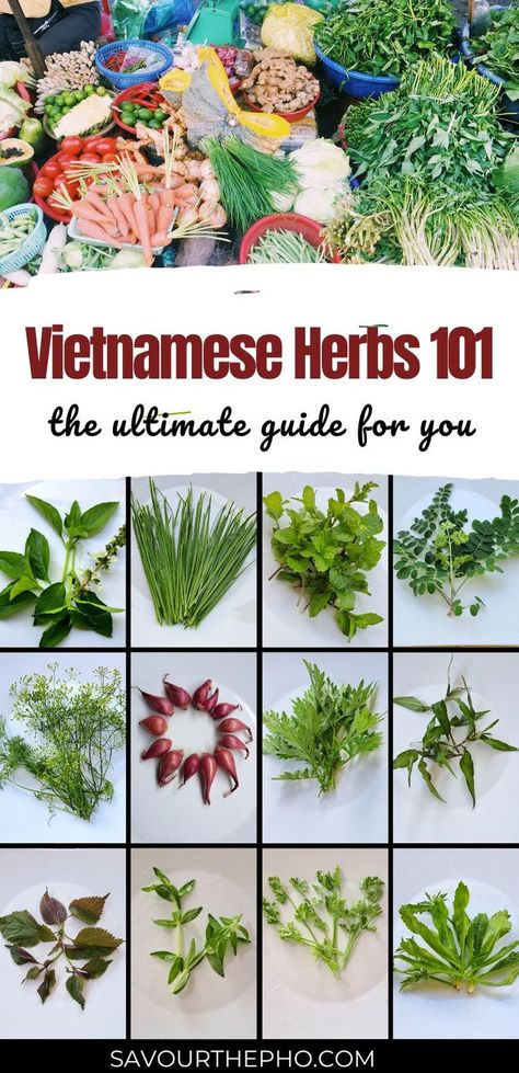 The ultimate guide to Vietnames herbs Vietnamese Vegetables, Asian Herbs, Korean Bulgogi, Vietnamese Pho, Chinese Dumplings, Asian Vegetables, Vietnam Food, Vietnamese Cuisine, Vietnamese Food