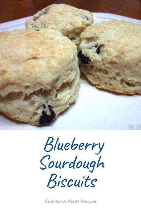 Sourdough Blueberry Biscuits, Blueberry Cream Cheese Sourdough, Sourdough Pastries, Blueberry English Muffin, Blueberry Sourdough, Sourdough Breads, Sourdough Biscuits, Lemon Biscuits, Blueberry Biscuits