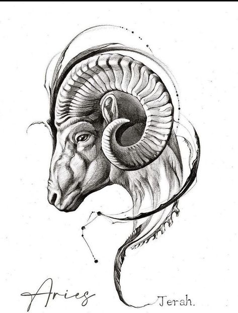 Capricorn Goat Tattoo Design, Aries Back Tattoo For Men, Realistic Ram Tattoo, Aries Geometric Tattoo, Aries Ram Tattoo Men, Rams Head Tattoo, Ram Head Drawing, Ram Tattoo For Men, Capricorn Tattoo For Men