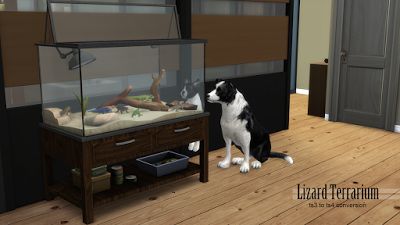 My Sims 4 Blog: Objects - Decorative Animals Sims4 Mod, Lizard Terrarium, Sims 4 Controls, Sims Pets, Pet Lizards, Sims 4 Blog, Sims Packs, Outdoor Cat Enclosure, Sims 4 Mm Cc