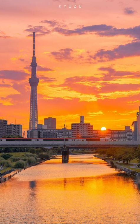 Tokyo Skytree, Japanese Landscape, Japan Photo, Natural Scenery, Scenery Wallpaper, Travel Aesthetic, Sunrise Sunset, Beautiful Places, Nature Photography