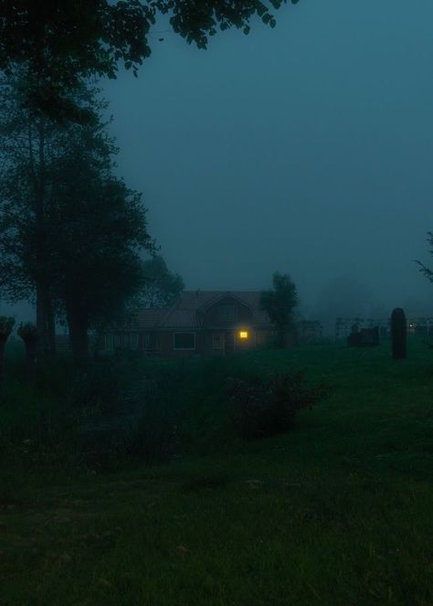 Dark Naturalism, Night Walks, Dark Landscape, Dark Green Aesthetic, Night Scenery, Blue Hour, The Fog, Dark Photography, You Left