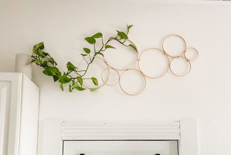 Inside Plants, Trellis Plants, House Plants Decor, Deco Floral, Climbing Plants, Plant Mom, Plant Wall, Home Decor Tips, Plant Life