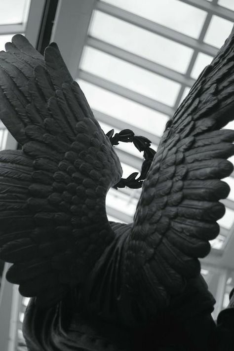 Black wings aesthetic yo Wings Aesthetic, Shingeki No Bahamut, Angel Sculpture, Angel Aesthetic, Black Wings, Crescent City, Visual Diary, Angels And Demons, Angel Art