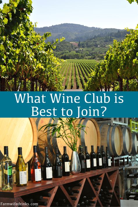 Interested in joining a wine club, learn about various different options and some great suggestions of what wine club is best to join. #WineClub #Wineries #Wine Apple Cider Punch, Red Wine Sangria, Napa Wine, Different Wines, Red Sangria, Best Cocktail Recipes, Wine Selection, Wine Club, Best Wine