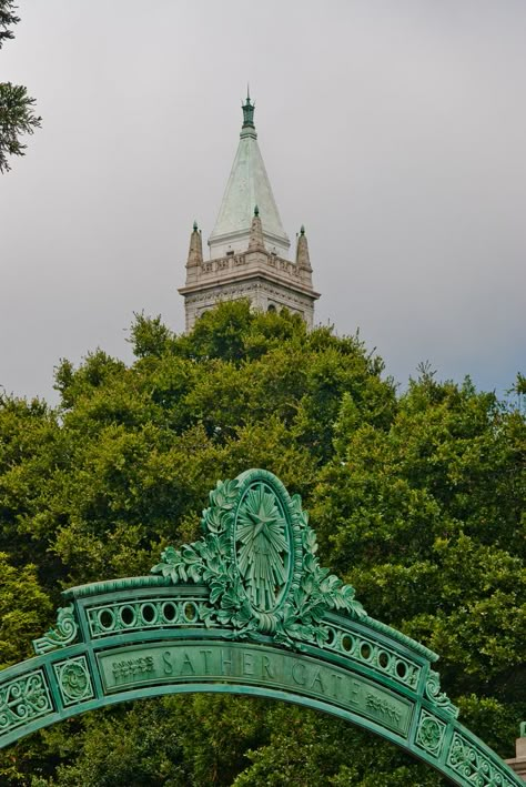 Berkeley Aesthetic, Berkeley University, University Inspiration, Cal Berkeley, College Graduation Pictures Poses, Cal Bears, Usa University, Golden Bear, Uc Berkeley