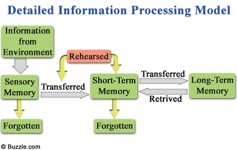 A Well-illustrated Overview on the Information Processing Theory Information Processing Theory, Teaching Aptitude, Intro To Psychology, Learning Theories, Cognitive Psychology, The Mechanisms, The Human Brain, Information Processing, Instructional Design