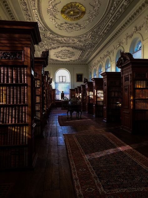 Dark Academy Aesthetic, Foto Muro Collage, Lots Of Books, Academic Aesthetic, Dark Acadamia, Academia Aesthetics, Chaotic Academia, Hogwarts Aesthetic, Dark Paradise