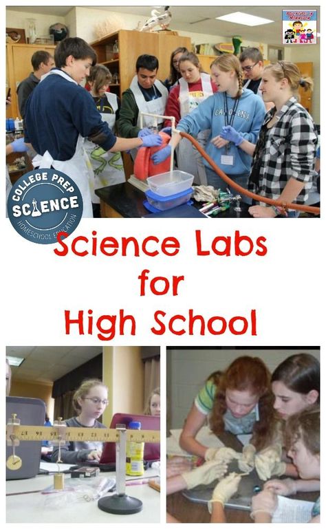 Biology High School, High School Science Projects, High School Science Activities, High School Science Experiments, High School Science Classroom, Biology Activity, High School Science Teacher, School Biology, Science Labs