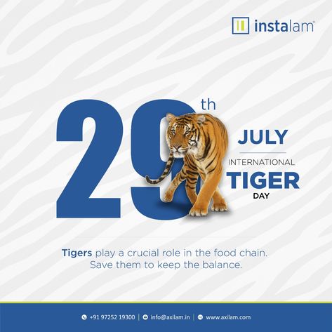 International Tiger Day Poster, Tiger Day Poster, World Tiger Day, International Tiger Day, Tiger Day, Celebration Poster, International Days, Photo Graphy, Tiger Poster