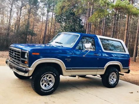 1982 Ford Bronco, 1983 Ford Bronco, 1980 Ford Bronco, 1980 Bronco, Ford Bullnose, 1986 Ford Bronco, 1989 Ford Bronco, Ford Bronco 1996, 1990 Ford Bronco