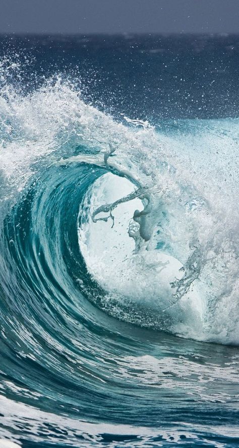 ocean waves curling over in the sea Ocean Wave, In The Ocean, Surfboard, The Ocean, A Man, Water