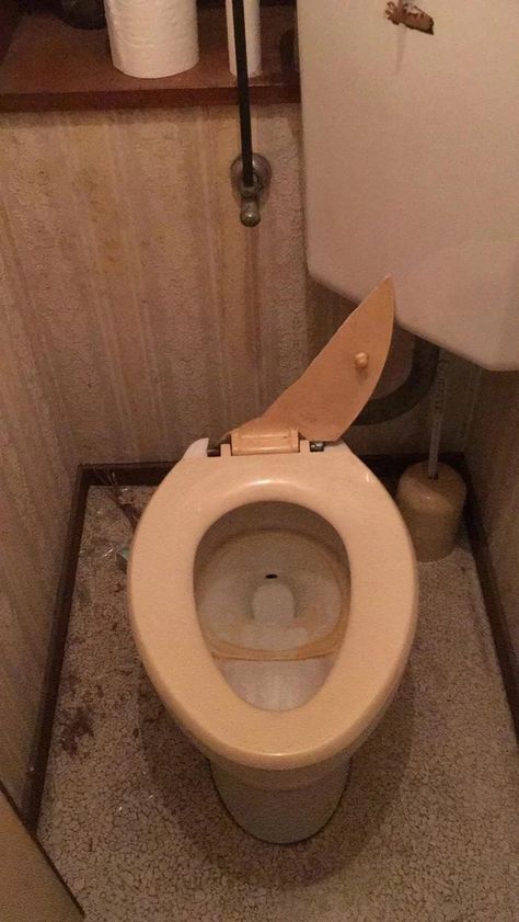 Gross Toilet, Childhood Core, Toilet Seat, Toilet Paper