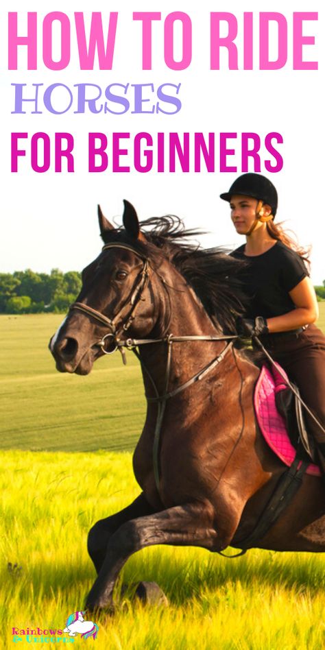 How To Ride Horses Tips, Horse Riding For Beginners, Learning To Ride A Horse, How To Ride A Horse For Beginners, Tips For Riding Horses, English Riding Tips, Horse Tips For Beginners, Horse Riding Tips For Beginners, Horse Beginner