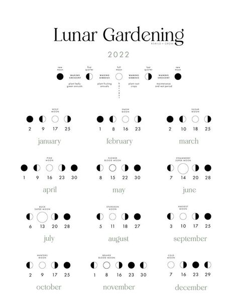 2022 Lunar Gardening Calendar to align with the phases of the Moon. A high quality printable PDF is available to download. This calendar includes: • A legend with each period and its optimal garden practice. • The dates of each phase according to the month. • Full Moons and their ancestral names. • The 2022 Super Moons and Blood Moons. Full Moon Names, Gardening Calendar, Sturgeon Moon, Moon Date, Moon Names, Moon Time, Moon Phase Calendar, Creative Calendar, Moon Journal