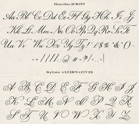 Different Cursive Styles, Fancy Fonts Alphabet, Cursive Letters Fancy, Fancy Cursive Fonts, Calligraphy Writing Styles, Cursive Writing Practice Sheets, Fancy Cursive, Hand Lettering Alphabet Fonts, Cursive Handwriting Practice