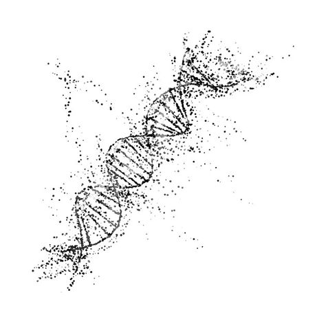 Dna Aesthetic, Dna Drawing, Leg Tats, Body Armor Tattoo, Dna Art, Dna Tattoo, Molecule Tattoo, Dna Helix, Dna Molecule