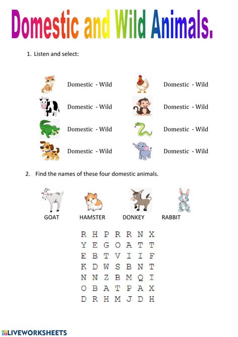 Domestic and wild animals - Ficha interactiva Domestic Animals Activities, Domestic And Wild Animals Worksheets, Domestic Animals Worksheets, Domestic And Wild Animals, Number System Worksheets, Worksheets For Class 1, Math Coloring Worksheets, Animal Worksheets, English Phonics