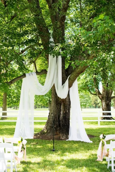 Tree Arbour Wedding, Fabric Tree Wedding Arch, Fabric Draped Tree Wedding, Tree Wedding Ceremony Flowers, Wedding Under Tree Decoration, Wedding Tree Backdrop, Tree Alter Wedding, Under Tree Wedding Ceremony, Wedding Backdrop Fabric