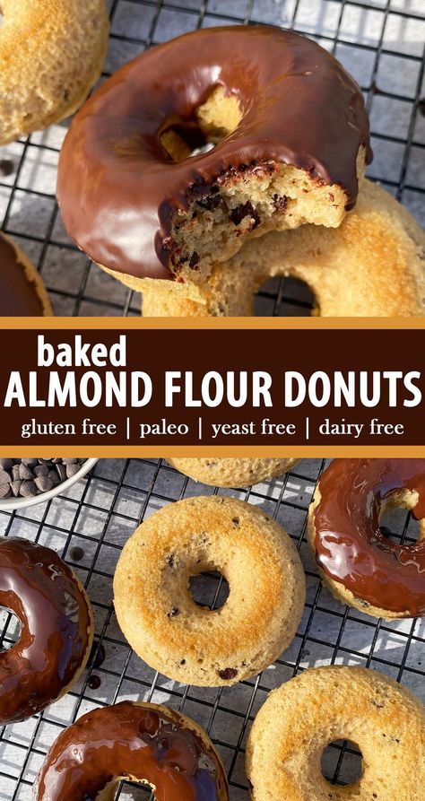 These baked almond flour donuts are moist and cakey with miniature chocolate chips dispersed throughout. They are made with almond flour and baked in the oven. This healthy donut recipe is gluten free, dairy free, yeast free and paleo friendly. Almond Flour Doughnut Recipes, Whole30 Baking Recipes, Almond Flour Vegan Recipes, Almond Flour Bars Healthy, Almond Flour Donut Recipes, Vegan Almond Flour Recipes, Donut Recipe Baked Healthy, Almond Flour Donuts Baked, Almond Flour Recipes Healthy