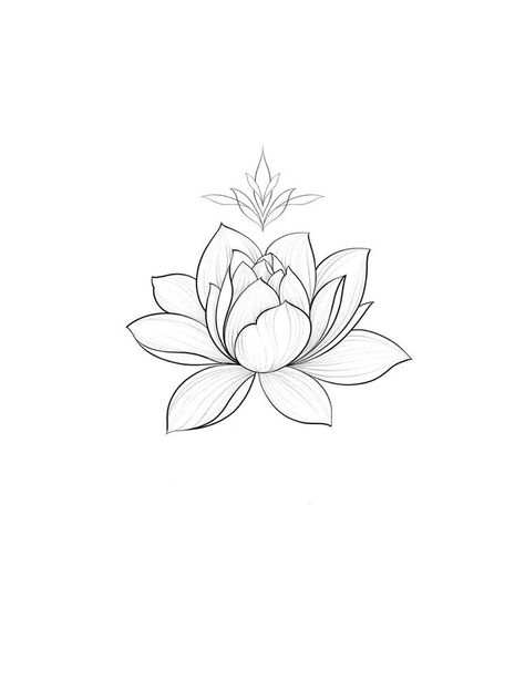 Lilly Flower Tattoo, Simple Lotus Flower Tattoo, Simple Lotus Tattoo, Lotusblume Tattoo, Small Lotus Tattoo, Lotus Tattoos, Water Lily Tattoos, Lillies Tattoo, Lily Tattoo Design