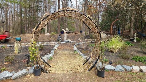 Yellow Jessamine, Concrete Diy Garden, Old Trampoline, Sweet Autumn Clematis, Autumn Clematis, Moon Gate, Garden Arches, Dyi Projects, Creative Gardening