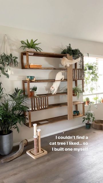 Diy Cat Shelves, Katt Diy, Cat Tree Designs, Cool Cat Trees, Cat Wall Shelves, Diy Cat Tree, Cat Wall Furniture, Cat Crazy, Cat House Diy