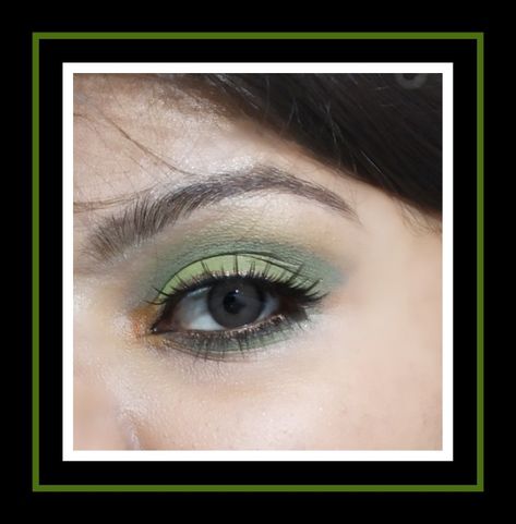 Dark Green Eyeshadow, Golden Eyeliner, Eyeshadow Orange, Orange Eyeshadow, Parrot Green, Green Eyeshadow, Shades Of Green, Parrot, Dark Green