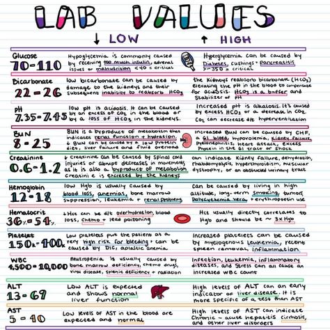 Lab Values Nursing Bundle PDF File Pages 1The Lab Values PDF File is a onepage reference guide that provides essential information on common laboratory values used in the healthcare field. This digital resource is a quick and convenient way for healthcare professionals and students to access important lab value information. With instant download after purchase, you can have this valuable reference guide at your fingertips in no time. Get the Lab Values PDF File today and enhance your clinical kn Lab Values Nursing, Values Study, Laboratory Values, Nursing School Studying Cheat Sheets, Nursing School Organization, Nursing School Inspiration, Medical Assistant Student, Nursing School Essential, Nursing School Motivation