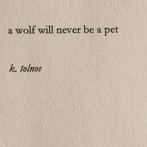 A wolf will never be a pet. #quotes #bossquotes Quotes About Foxes, Quotes Literature, Pet Wolf, Its A Mans World, Remus Lupin, Wolf Tattoo, A Wolf, Tattoo Idea, A Quote