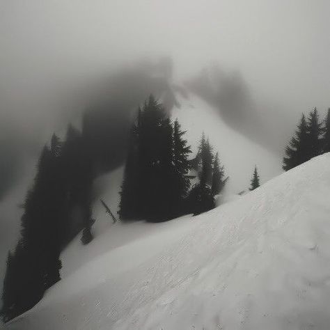 Foggy Weather, Forest Wood, Dark Nature Aesthetic, Dark Winter, Winter Scenery, Snowy Mountains, Tree Forest, Winter Forest, Winter Aesthetic