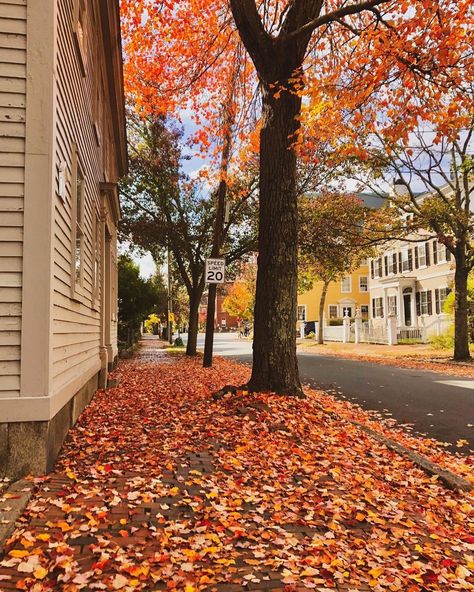 Salem massachusetts Aesthetic With Friends, Massachusetts Aesthetic, Fall Aesthetic Pictures, Hygge Autumn, Studera Motivation, Fall Boards, Fall Mood Board, Fall Mood, Salem Massachusetts