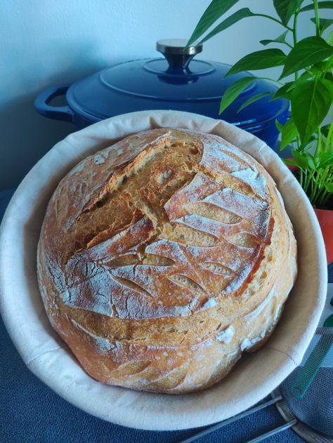 Make Sourdough Bread, Fermented Bread, Dough Starter, Gluten Free Sourdough, Rye Flour, Bread Basket, Bread Flour, Sourdough Starter, Sourdough Bread