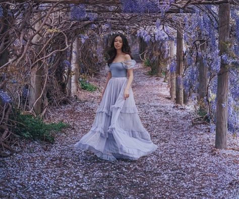 Wisteria Photoshoot, Tunnel Garden, Wisteria Dress, Wisteria Tunnel, Sweet Sixteen Photography, Tara Milk Tea, Outdoor Evening, Pokemon Oc, Spring Family