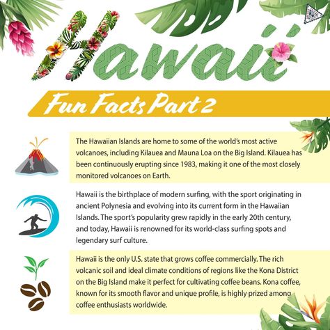 Unearth #Hawaii: 🌴 Where Every Fact is as Vibrant as Our Sunsets! 🌅  Hawaii Fun Facts Part 2 Best Hawaiian Island For Kids, Facts About Hawaii, Volcanoes In Hawaii, Hawaii History Culture, Map Of Hawaii, Hawaii Party, Oahu Hawaii, School Projects, Oahu