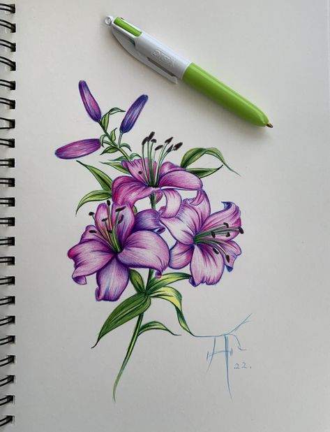 Pencil Color Flower Drawing, Coloured Pen Drawings, Sketch Pen Drawings Coloring, Sketch Pen Art Colour, Flower Drawing Color Pencil, Colour Pen Drawing, Magic Runes, Ballpoint Pen Art, Pen Art Work