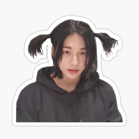 Long live Hyunjin’s long hair! • Millions of unique designs by independent artists. Find your thing. Kpop Stickers, Pig Tails, Pop Stickers, Planning Stickers, Meme Stickers, Face Stickers, Cute Hair, Stickers For Sale, Anime Stickers