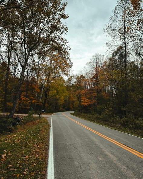 Sliding into fall like 🍂🛹🎃 Little recap of the last days here in Ohio. #ohio #fall #autumn #skate Fall In Ohio, New Paltz Aesthetic, Ohio Aesthetic, Ohio Fall, Lakewood Ohio, New Paltz, Late Fall, Last Days, Fall Autumn