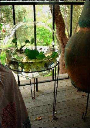 A large glass bowl and a plant stand gets you this great little water garden for your patio/porch. Water Terrarium, Large Glass Bowl, Indoor Water Garden, Support Pour Plante, Diy Tank, Garden Terrarium, Indoor Gardens, Terraria, Fish Bowl