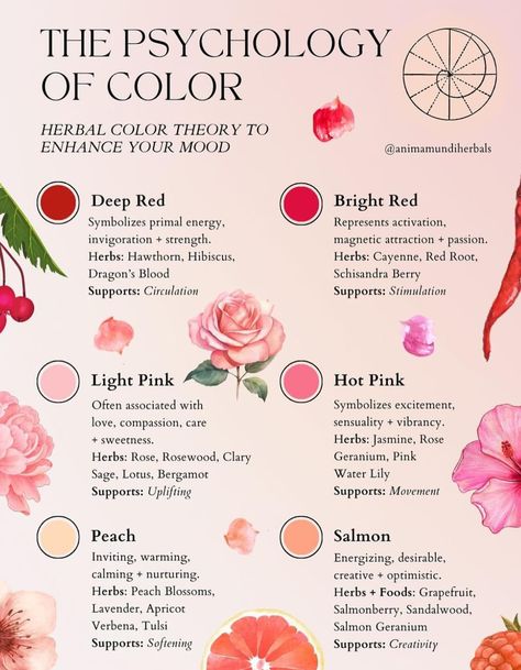 Root Chakra Color Palette, Flower Correspondences Witchcraft, Candle Colours Meaning Witchcraft, Incense Magic, Color Corespondents Witchcraft, Chakra Herbs And Flowers, Coloured Roses, Color Therapy Healing, Bruji Tips