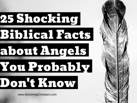 25 Shocking Biblical Facts about Angels You Probably Don’t Know | Becoming Christians Real Angels From The Bible, Bible Accurate Angels, Biblical Angel, Biblical Facts, Who Wrote The Bible, Native American Literature, Angels Bible, Youth Lessons, Real Angels