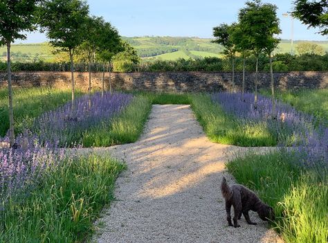 A Large Country Garden - Amanda Patton Large Country Garden, Fruit Cage, Garden Works, Country Landscape, Lawn Edging, Classic Garden, Country Landscaping, Garden Elements, Meadow Flowers