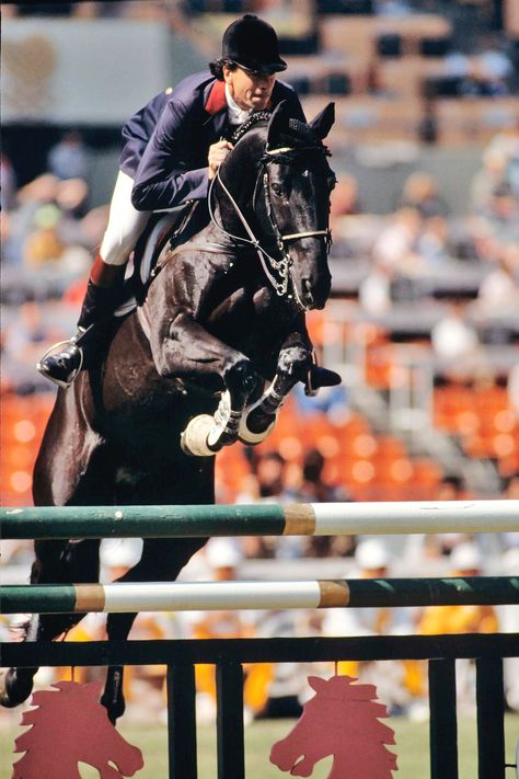 Pierre Durand on Jappeloup (France) 🥇 Individual jumping 🥉 Team jumping • Seoul 1988 Olympics #equestrian Equestrian Olympics, Olympic Equestrian, Cute Horse Pictures, Horse Paintings, Poses Human, Cute Horses, Summer Olympics, Action Poses, Horse Pictures