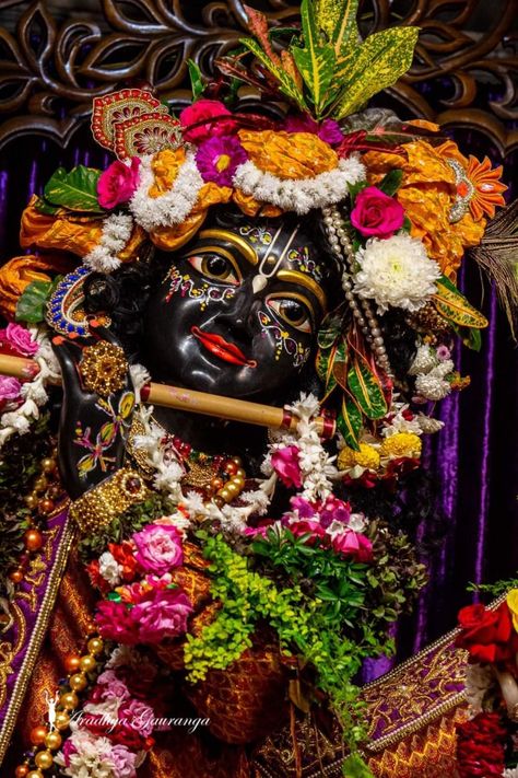 Krishna image Radhe Govinda, Krishna Pic, Mayapur Iskcon, Krishna Hd, Lord Krishna Hd Wallpaper, Lord Krishna Wallpapers, Krishna Ji, Krishna Wallpapers, Radha Krishna Images