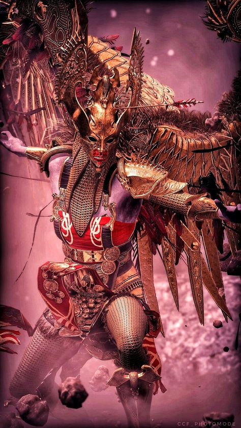 Sigrun Valkyrie, Winged Warrior, Skyrim Armor, Skyrim Wallpaper, Valkyrie Tattoo, Viking Cosplay, Zeus Tattoo, Old Norse, Viking Art