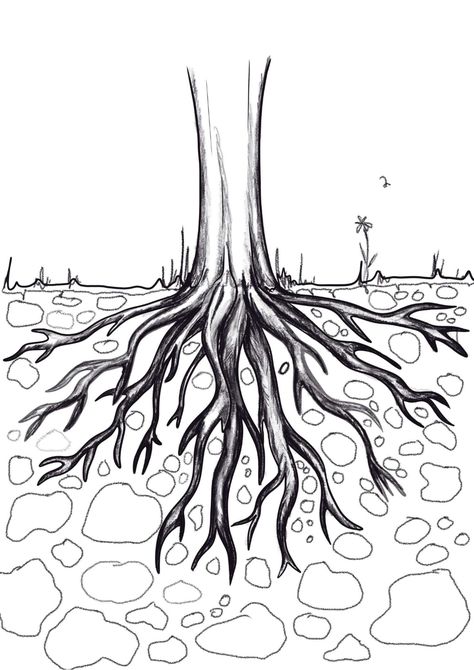 Draw Tree Roots in 10 Easy Steps! - Artsydee | Drawing, Painting, Craft & Creativity Tree With Roots Drawing, Root Drawing, Drawing Of A Tree, Roots Illustration, Draw Tree, Roots Drawing, Tree With Roots, Tree Doodle, Tree Drawings Pencil