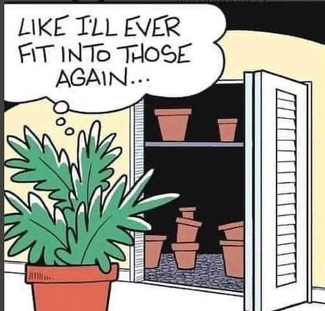 Green Thumb Humor, Plant Humor, Plant Jokes, Garden Humor, Gardening Memes, Garden Poems, Plant Quotes, Off The Mark, Plant Party