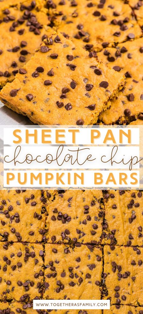 Pumpkin Bread Bars, Fall Sheet Pan Recipes, Pumpkin Chocolate Chip Cookie Bars, Big Batch Bars Sheet Pan, Sheet Pan Bars For A Crowd, Fall Sheet Pan Desserts, Pumpkin Banana Bars, Pumpkin Bars 9x13 Pan, Pumpkin Desserts For A Crowd